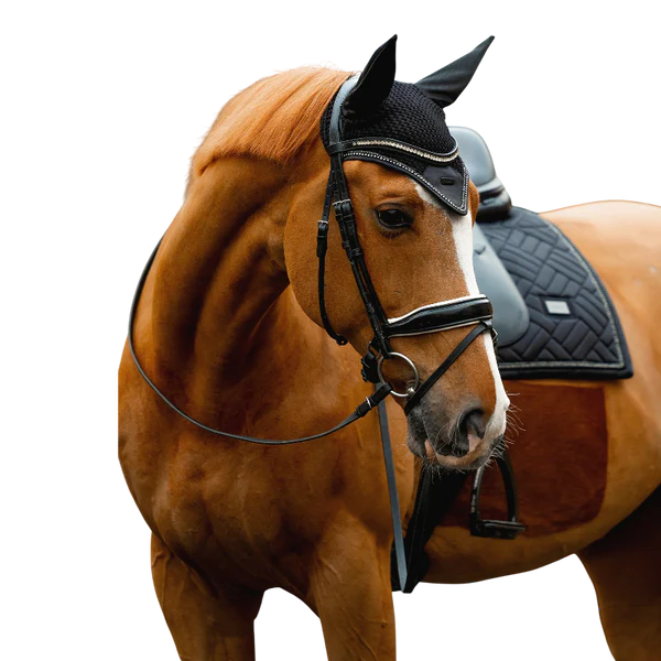 Equestrian Stockholm - Bonnet pour chevaux Modern Crystal noir