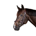 Dyon - Bridon tressé avec noseband amovible New English Collection marron