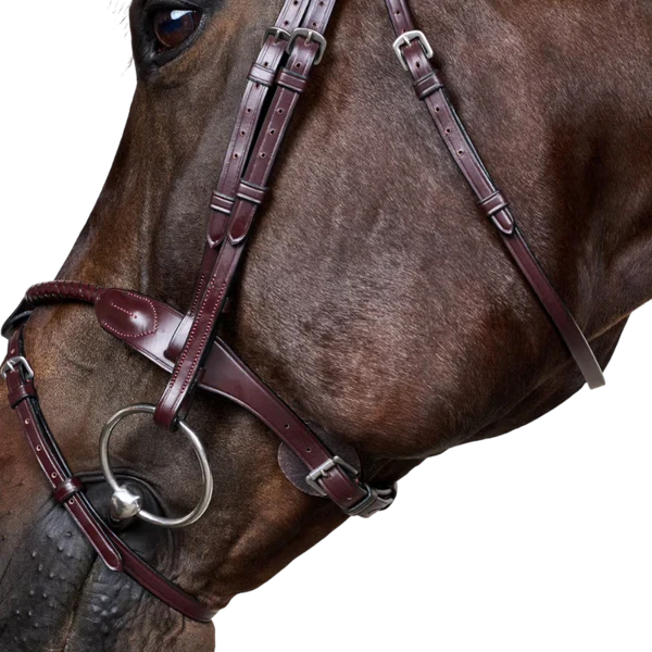 Dyon - Bridon tressé avec noseband amovible New English Collection marron