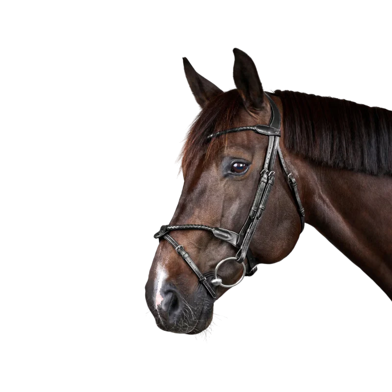 Dyon - Bridon tressé avec noseband amovible New English Collection noir