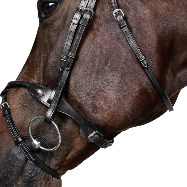 Dyon - Bridon tressé avec noseband amovible New English Collection noir