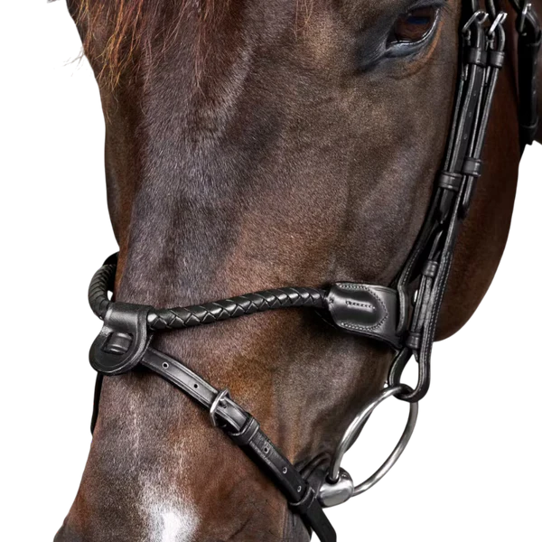 Dyon - Bridon tressé avec noseband amovible New English Collection noir