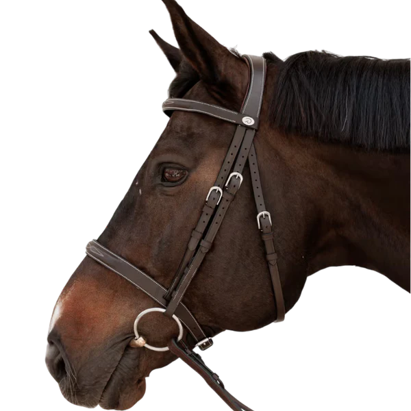 Dyon - Bridon Hunter marron