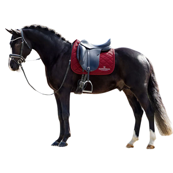 Equestrian Stockholm - Tapis de dressage Line bordeaux