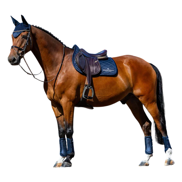 Equestrian Stockholm - Tapis de selle Line midnight blue