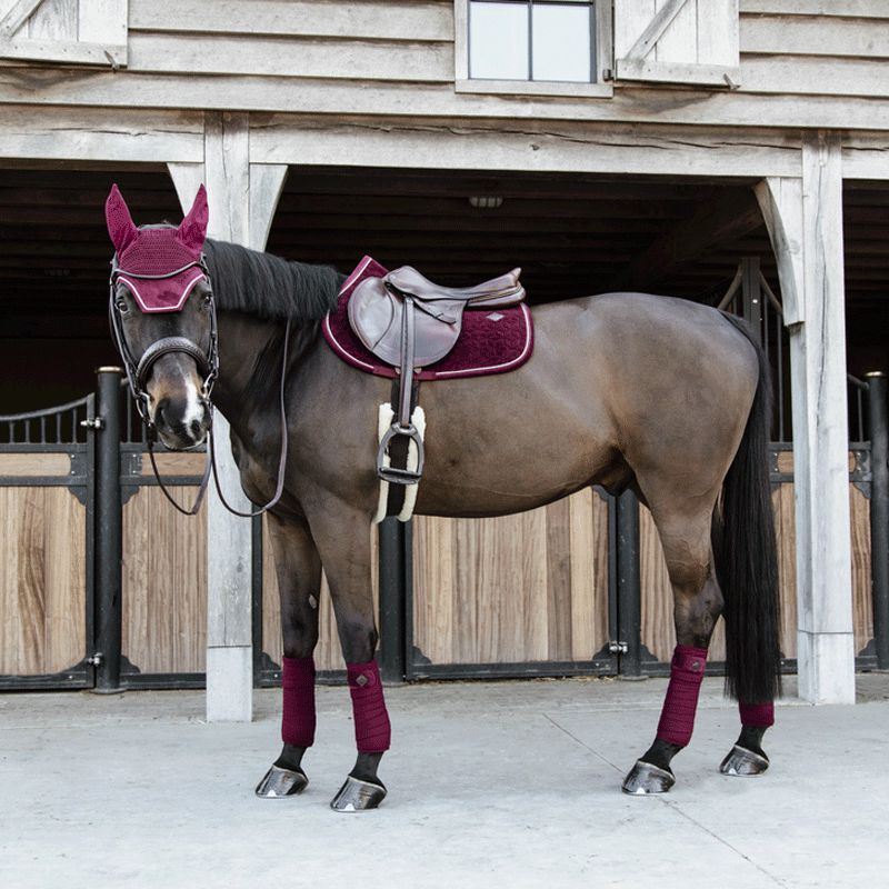Kentucky Horsewear - Tapis de selle Velvet Jumping Bordeaux