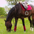 Kentucky Horsewear - Tapis de selle Velvet jumping Fuchsia