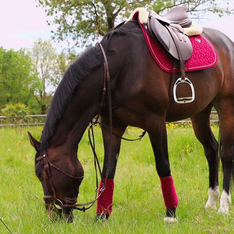 Kentucky Horsewear - Tapis de selle Velvet jumping Fuchsia