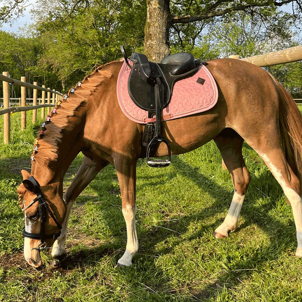 Kentucky Horsewear - Tapis de selle Velvet Jumping Vieux rose pour minis