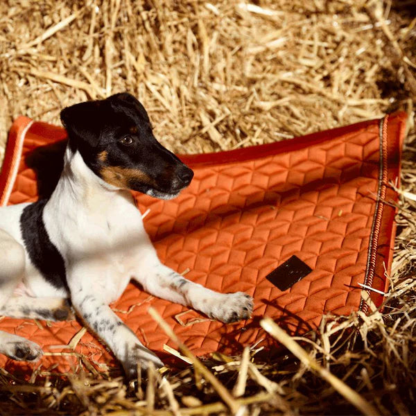 Kentucky Horsewear - Tapis de dressage Velvet Orange