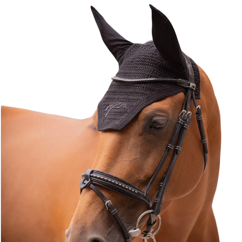 Pénélope - Bonnet pour chevaux coton noir