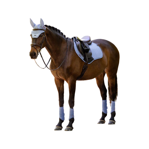 LeMieux - Tapis de selle Essence Close Contact powder blue