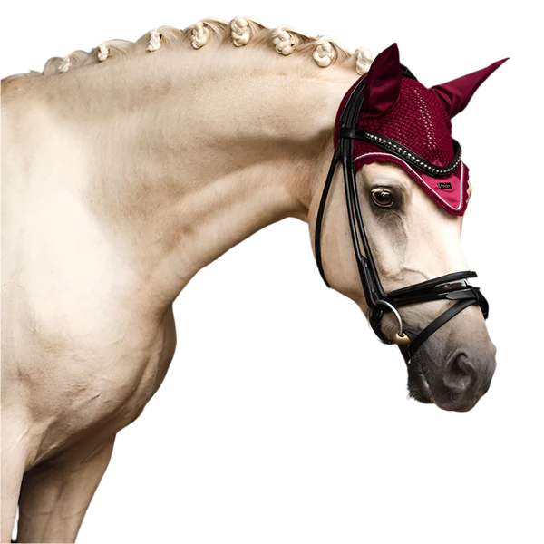Equestrian Stockholm - Bonnet pour cheval Bordeaux