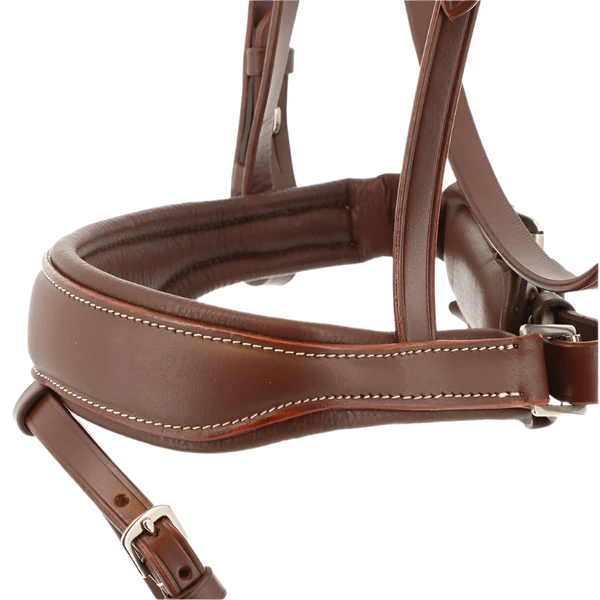Norton Pro - Bridon Miss havane