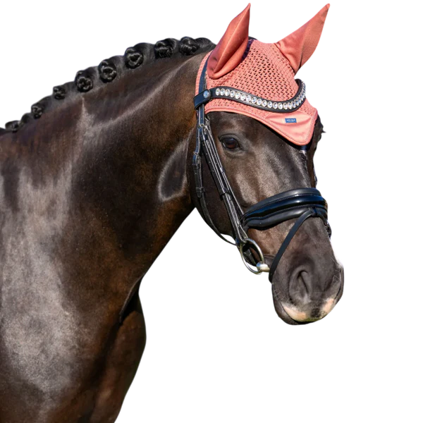 Equestrian Stockholm - Bonnet pour chevaux Modern Coral
