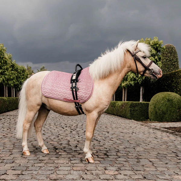 Kentucky Horsewear - Tapis de selle Velvet Jumping Vieux rose pour minis