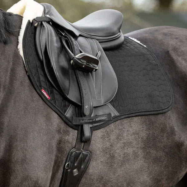 LeMieux - Tapis de selle EuroJump Merino + noir/ naturel