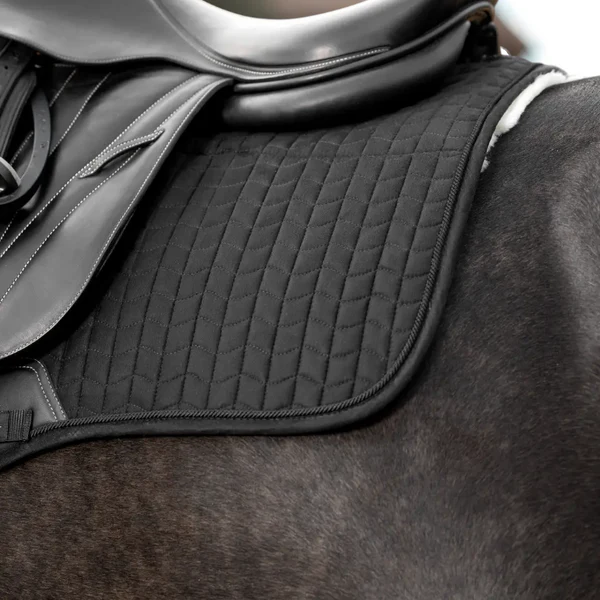 LeMieux - Tapis de selle EuroJump Merino + noir/ naturel