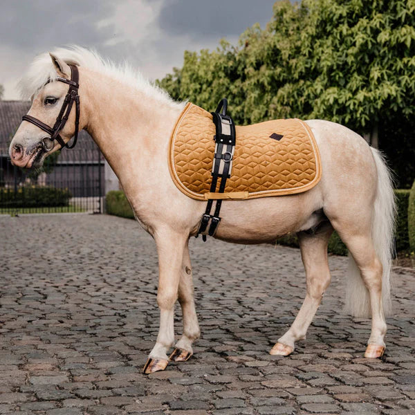 Kentucky Horsewear - Tapis de selle Velvet Jumping Moutarde pour minis